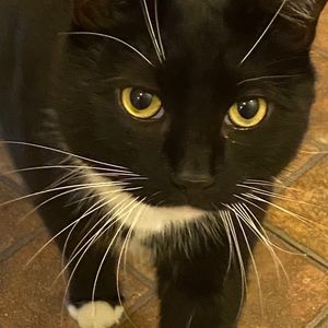 Meet your Posher, Julia